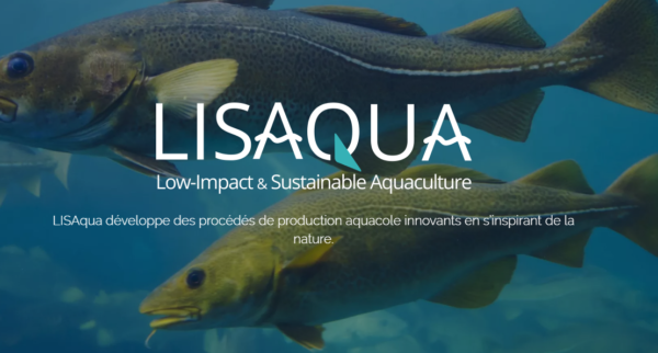 LISAqua