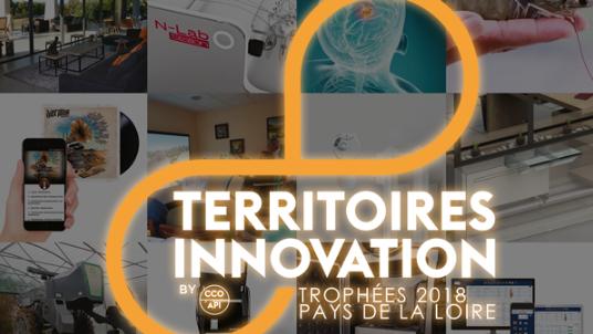 Les 5 lauréats régionaux des Trophées Territoires Innovation 2018