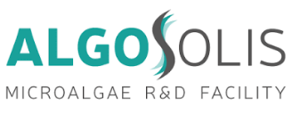 AlgoSolis - (44)