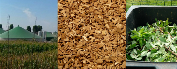 RDV Affaires : Biogaz Europe - Bois Energie - ReGen Europe - (35)