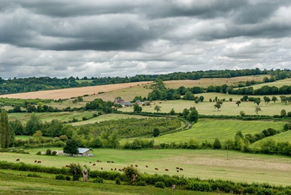 Nouvelles alliances pour la valorisation des pratiques environnementales - (49)