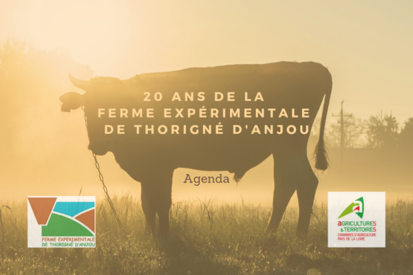 Les 20 ans de la ferme expérimentale de Thorigné d’Anjou - (49)