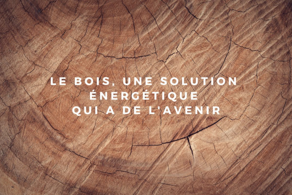 Le bois, une solution énergétique qui a de l'avenir
