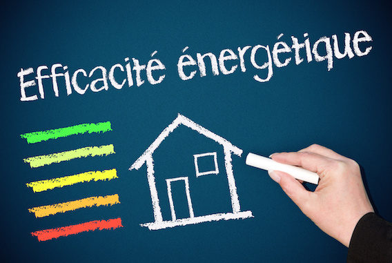 "Je suis l'énergie vendéenne" par SyDEV