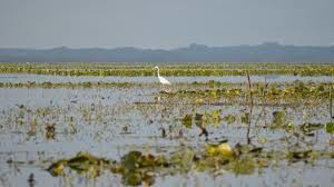 Un projet dédié à la biodiversité en Loire-Atlantique