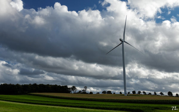 Bilan des énergies renouvelables en PDL