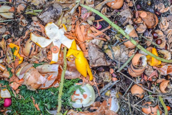 La Tricyclerie valorise les déchets organiques