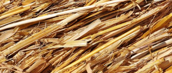 Profibres développe son isolant à base de paille