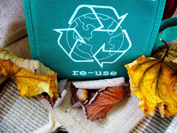 APYSA se lance dans les emballages compostables !
