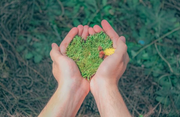 Appel à Projets « Biodiversité en Pays de la Loire 2022 »