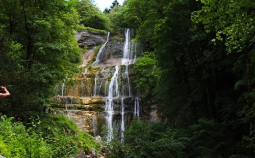 trees near waterfalls